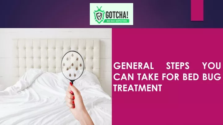 general steps you can take for bed bug treatment