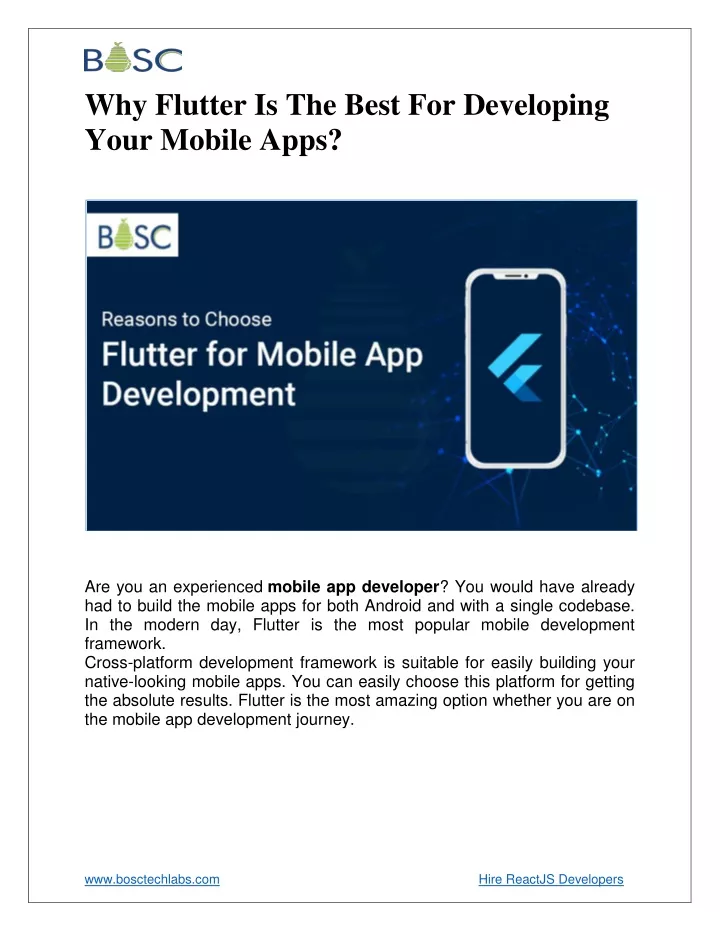 why flutter is the best for developing your