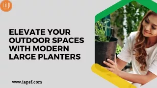 Why Modern Large Planters are considered best for outdoor spaces?