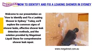 How to Identify and Fix a Leaking Shower in Sydney