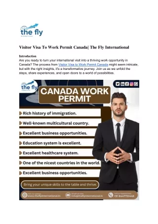 Visitor Visa To Work Permit Canada_ The Fly International