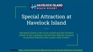 Special Attraction at Havelock Island