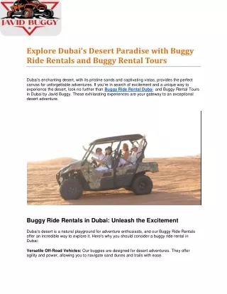 Desert-Paradise-with-Buggy-Ride-Rentals-and-Buggy-Rental-Tours
