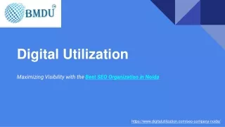 digital utilization