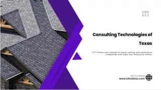 Consulting Technologies of Texas (1)