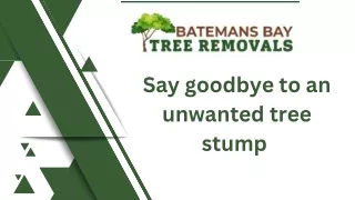 Say goodbye to an unwanted tree stump