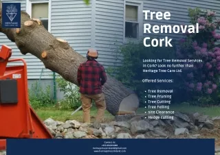 Tree Removal Cork - Heritage Tree Care Cork
