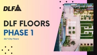 DLF Floors Phase 1