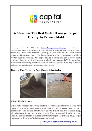 6 Steps For The Best Water Damage Carpet Drying To Remove Mold