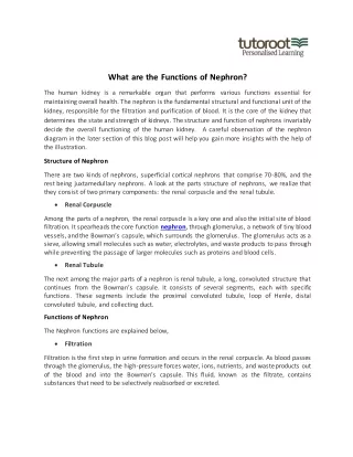 what are the functions of nephron