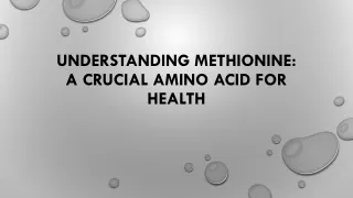 Methionine Market