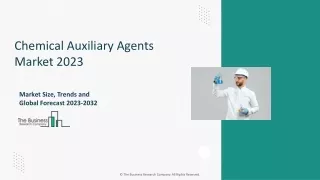 chemical auxiliary agents market 2023