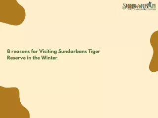 Best Sundarban Tour Package