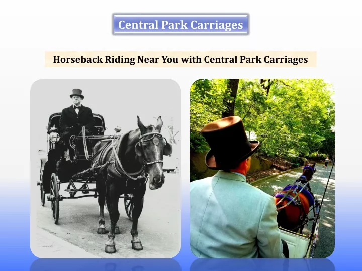 central park carriages
