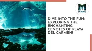 Dive into the fun exploring the enchanting
