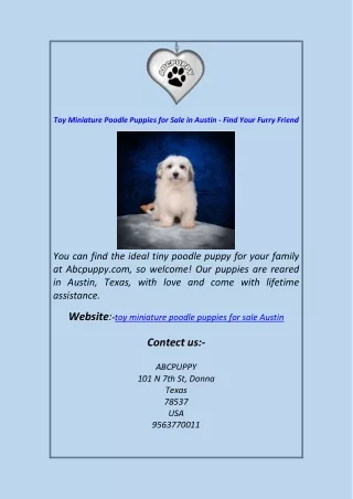 Toy Miniature Poodle Puppies for Sale in Austin - Find Your Furry Friend