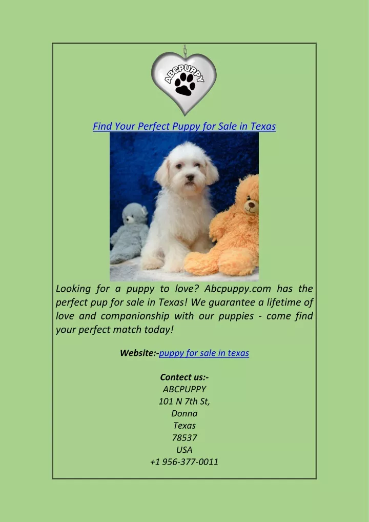 find your perfect puppy for sale in texas