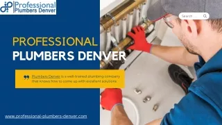 Expert Plumbing Services in Denver - Professional Plumbers Denver