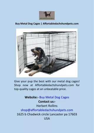 Buy Metal Dog Cages  Affortabledachshundpets.com