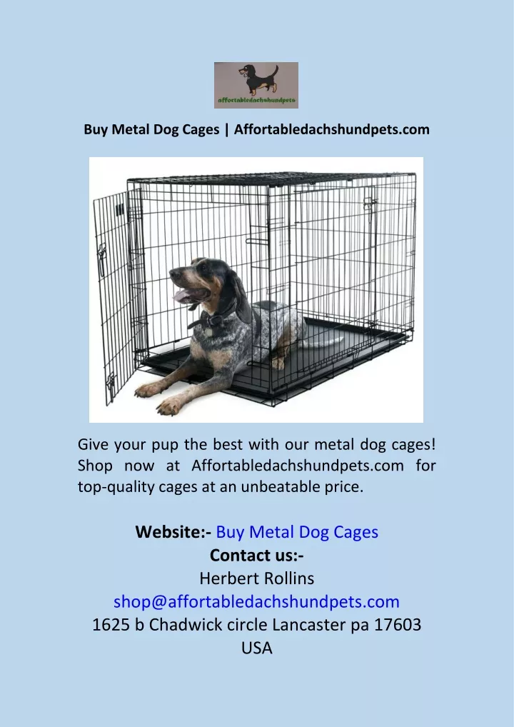 buy metal dog cages affortabledachshundpets com