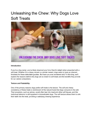 Unleashing the Chew_ Why Dogs Love Soft Treats