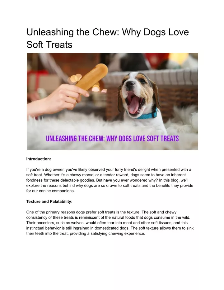 unleashing the chew why dogs love soft treats