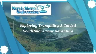 Exploring Tranquility A Guided North Shore Tour Adventure