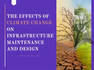 Adapting Design to Climate Challenges: Insights from Amir Parekh