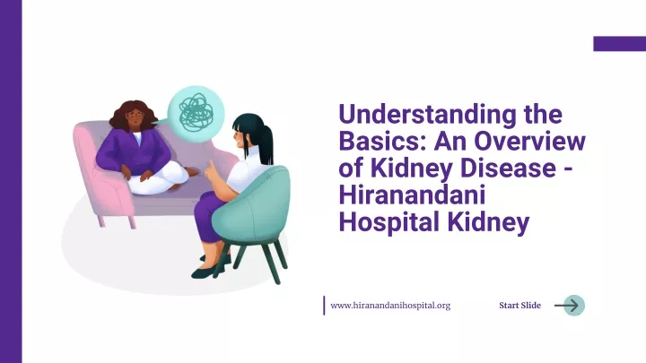 understanding the basics an overview of kidney