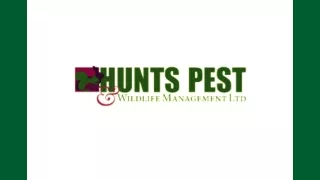 Pest Control Sawtry