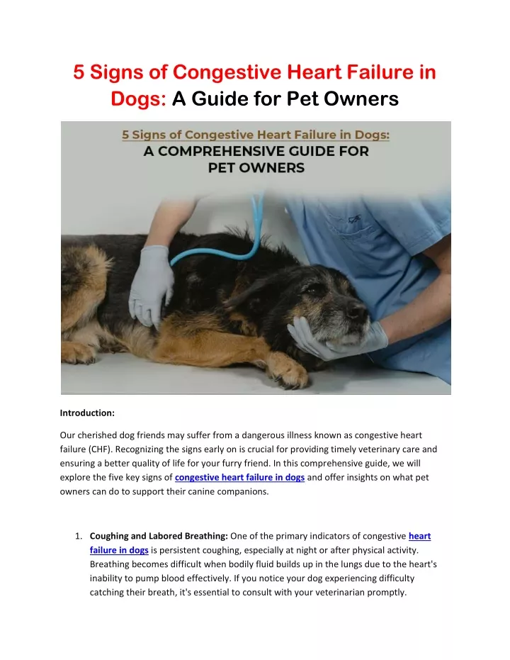 5 signs of congestive heart failure in dogs