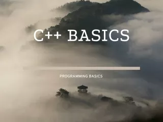 c basics