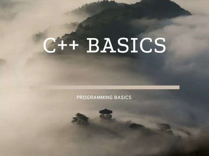 c basics