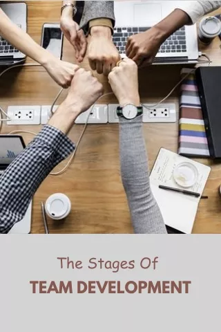 the stages of