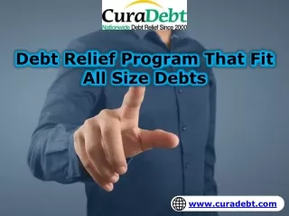 Debt Relief Program That Fit All Size Debts
