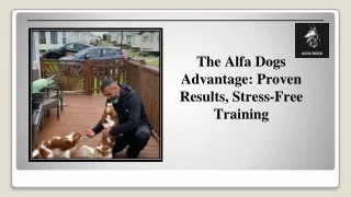 The Alfa Dogs Advantage Proven Results, Stress-Free Training