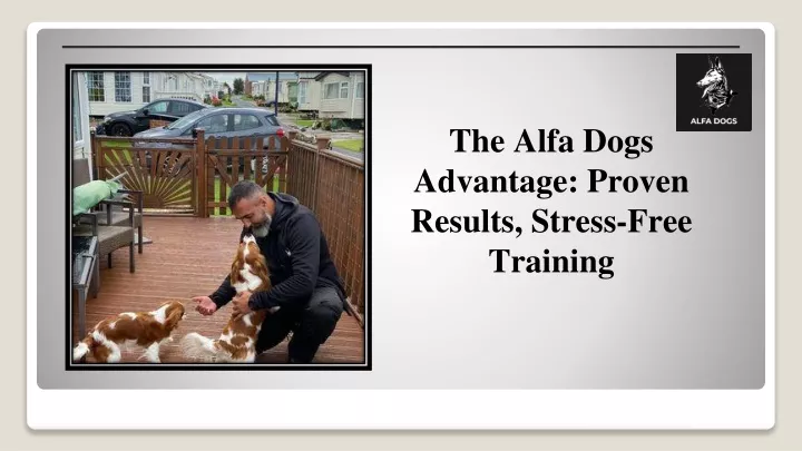 the alfa dogs advantage proven results stress