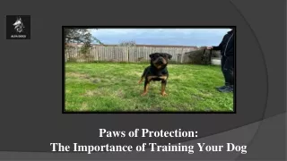 Paws of Protection The Importance of Training Your Dog