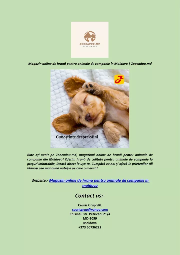 magazin online de hran pentru animale de companie