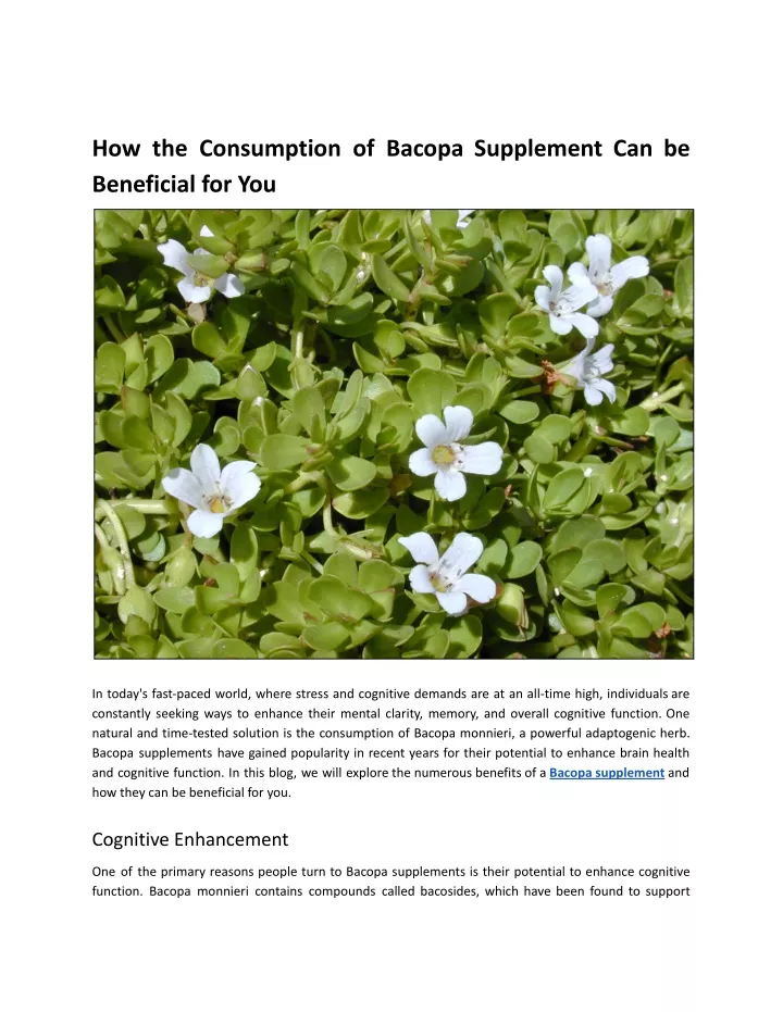 how the consumption of bacopa supplement