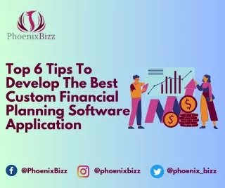 Top 6 Tips To Develop The Best Custom Financial Planning Software Application
