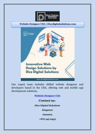 Website Designer USA | Dicedigitalsolutions.com