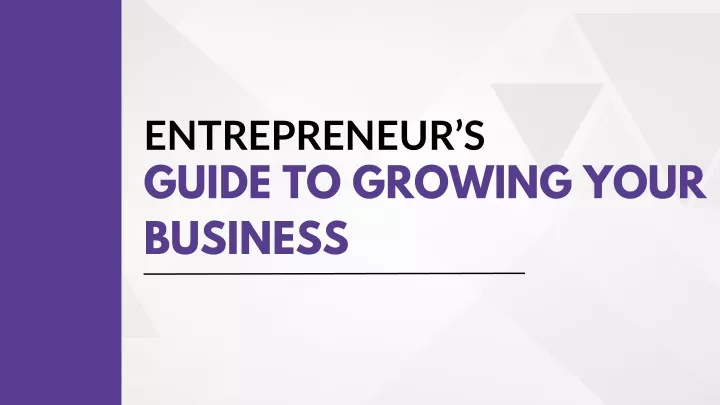 entrepreneur s guide to growing your business