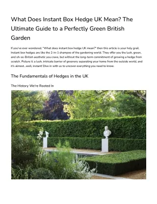 What Does Instant Box Hedge UK Mean
