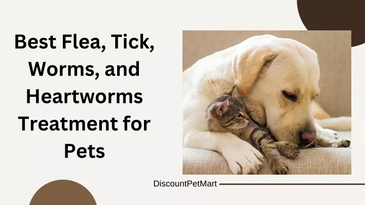 best flea tick worms and heartworms treatment