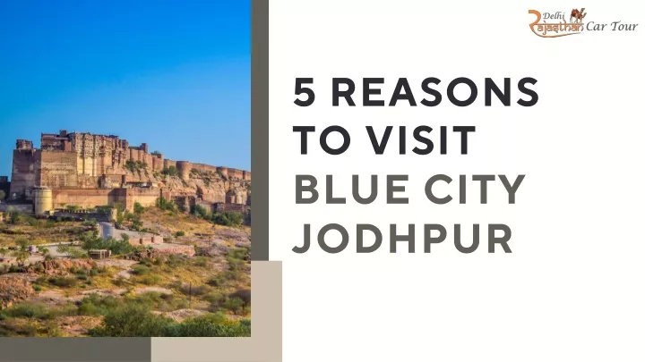 5 reasons to visit