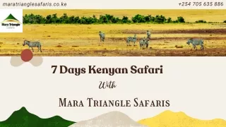 7 Days Kenyan Safari - Mara Triangle Safari