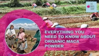 Everything You Need to Know About Organic Maca Powder