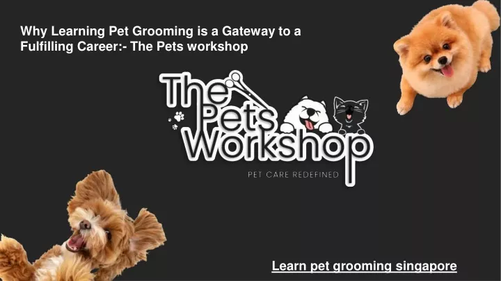 why learning pet grooming is a gateway