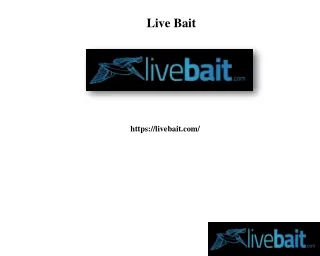 live bait